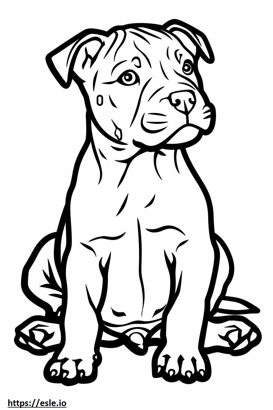 Bebê American Pit Bull Terrier para colorir