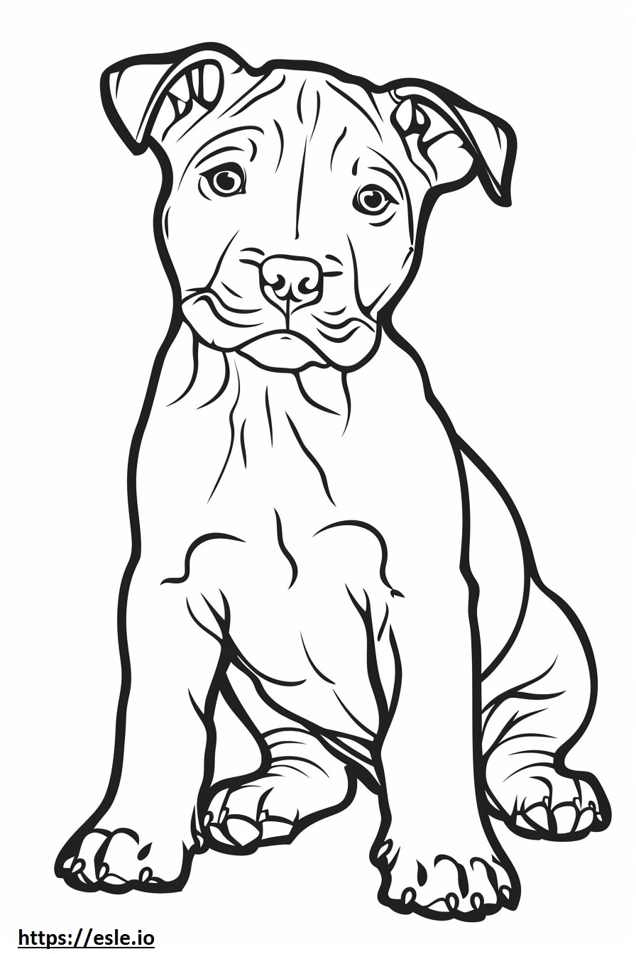 Coloriage Bébé American Pit Bull Terrier à imprimer