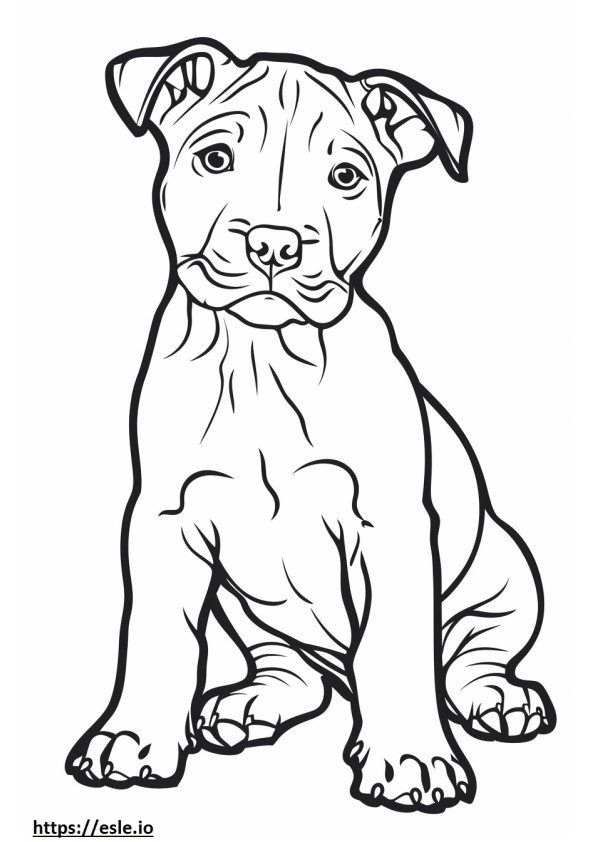 Coloriage Bébé American Pit Bull Terrier à imprimer