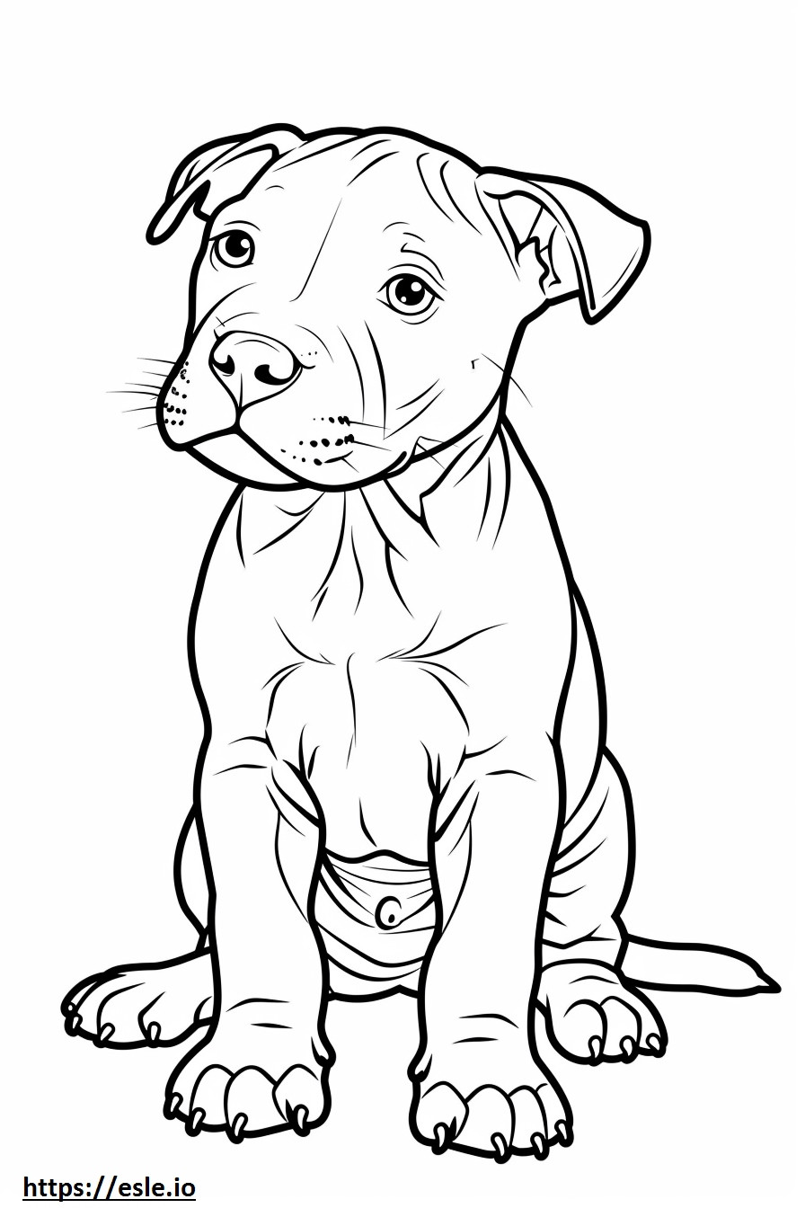 Amerikaanse Pit Bull Terrier-baby kleurplaat kleurplaat