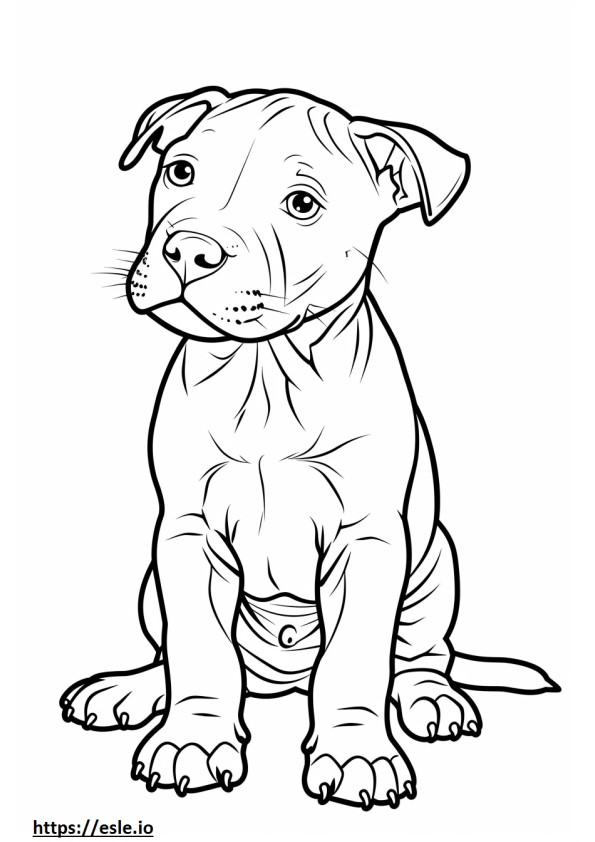 Cucciolo di Pitbull Terrier americano da colorare