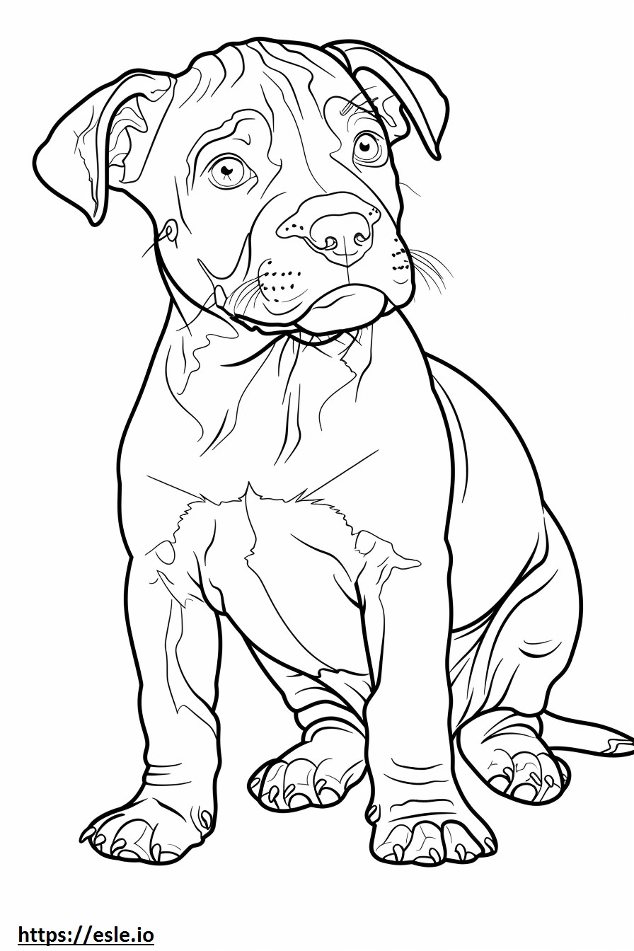 Amerikaanse Pit Bull Terrier-baby kleurplaat kleurplaat