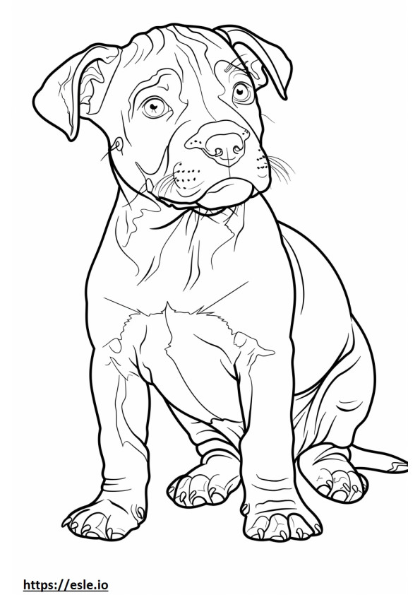 Cucciolo di Pitbull Terrier americano da colorare