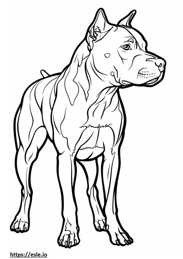 Dibujos animados de pitbull terrier americano para colorear e imprimir