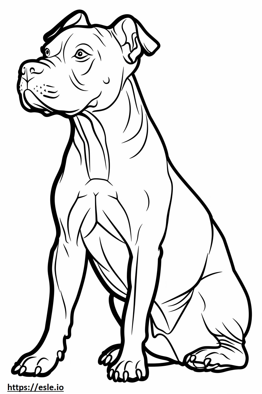 Amerikan Pit Bull Terrier çizgi filmi boyama