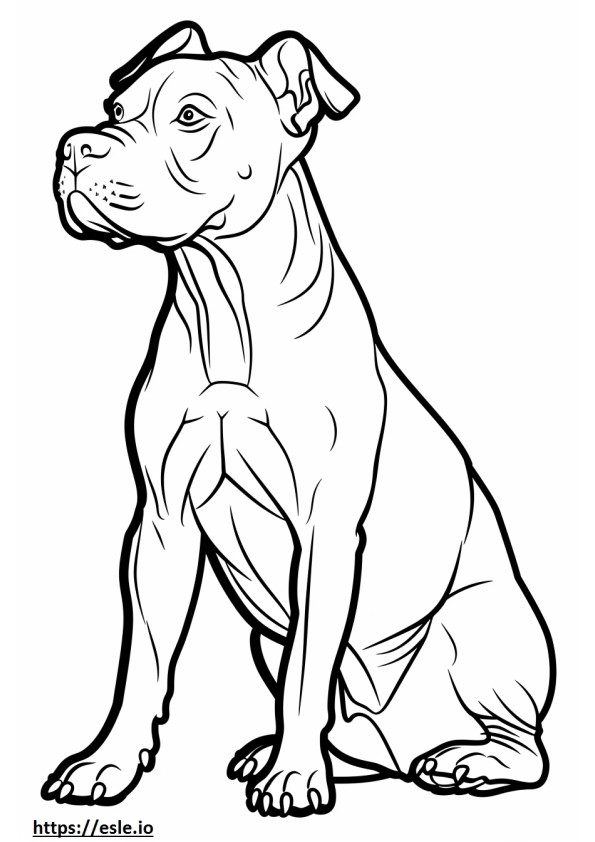 Amerikan Pit Bull Terrier çizgi filmi boyama