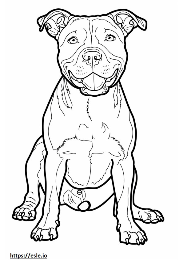 American Pit Bull Terrier fofo para colorir