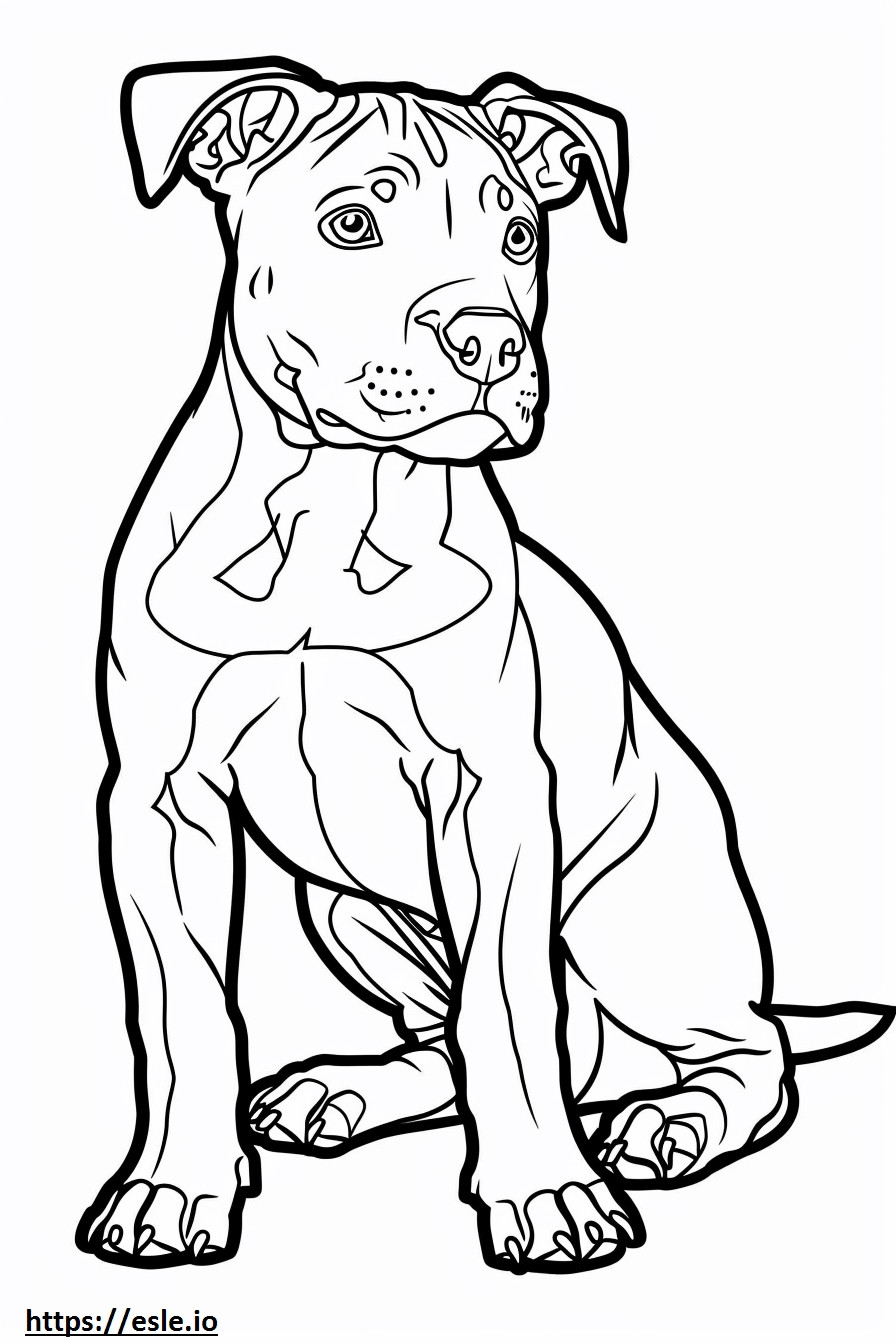 Amerikaanse Pit Bull Terrier schattig kleurplaat kleurplaat