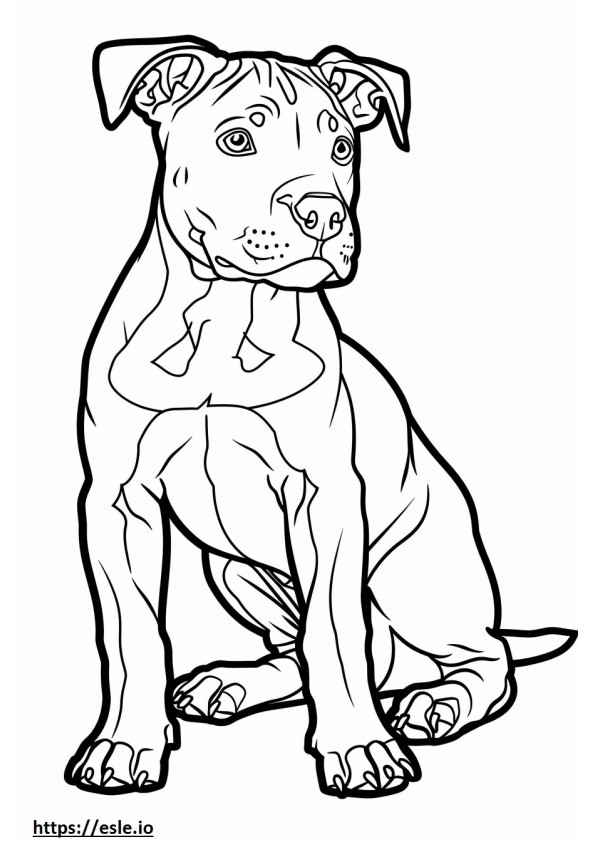 Coloriage Américain Pit Bull Terrier mignon à imprimer