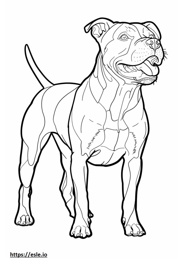 American Pit Bull Terrier feliz para colorear e imprimir
