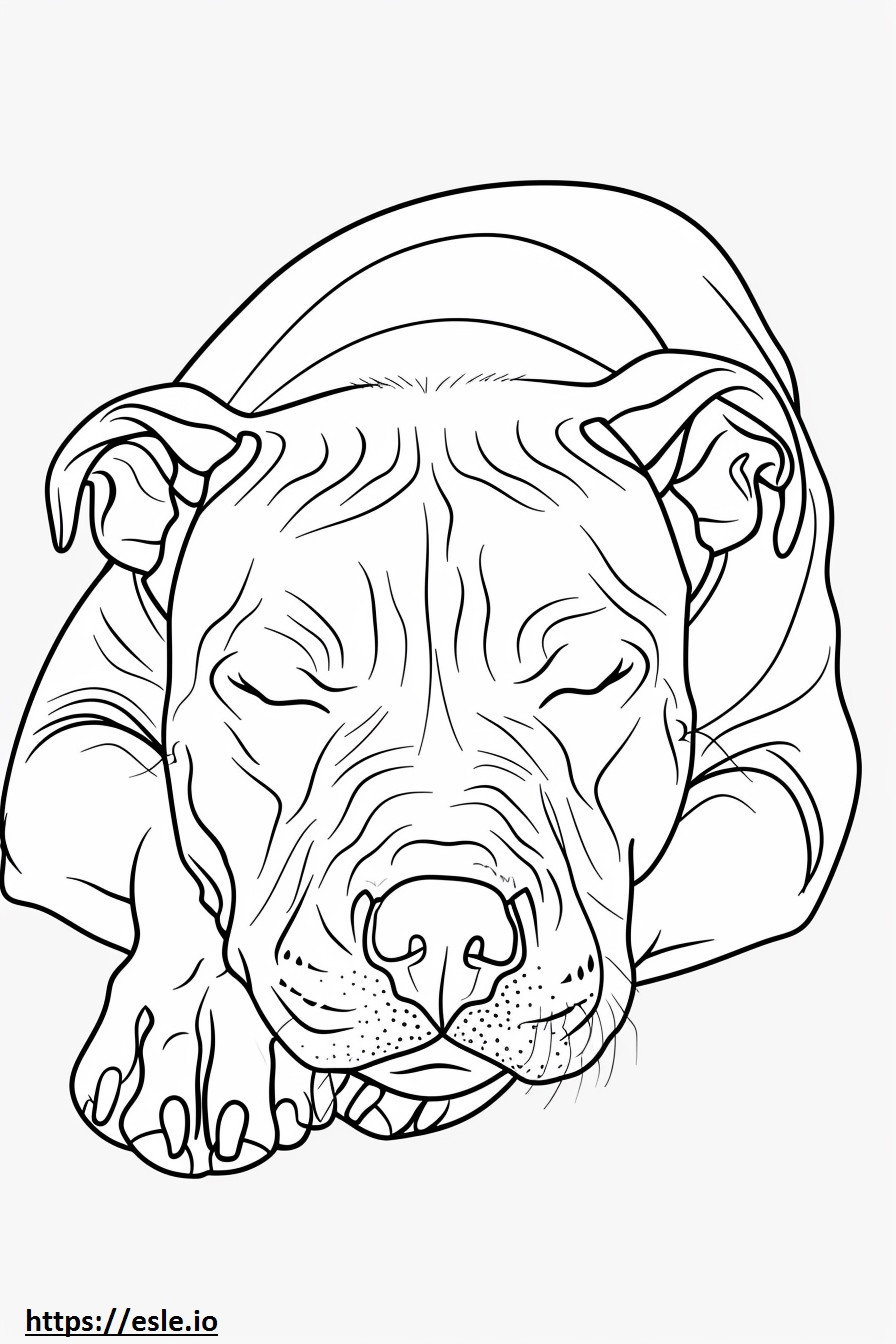 American Pit Bull Terrier dormindo para colorir