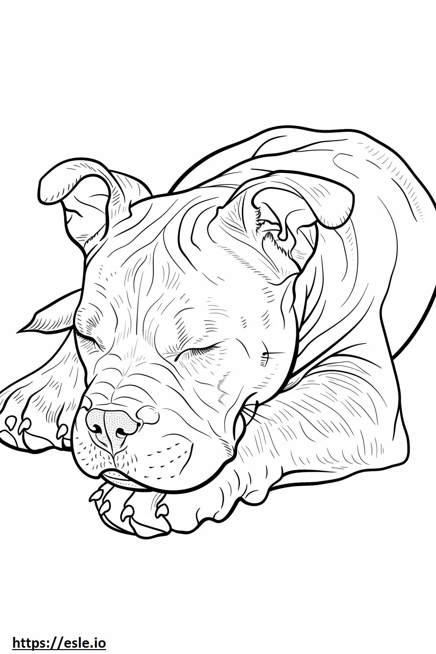 Tidur Pit Bull Terrier Amerika gambar mewarnai