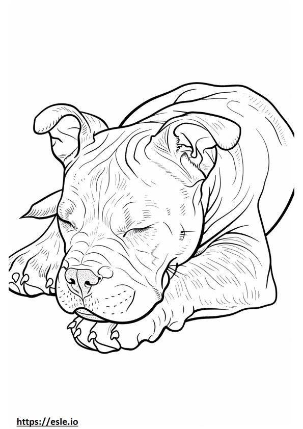 American Pit Bull Terrier dormindo para colorir