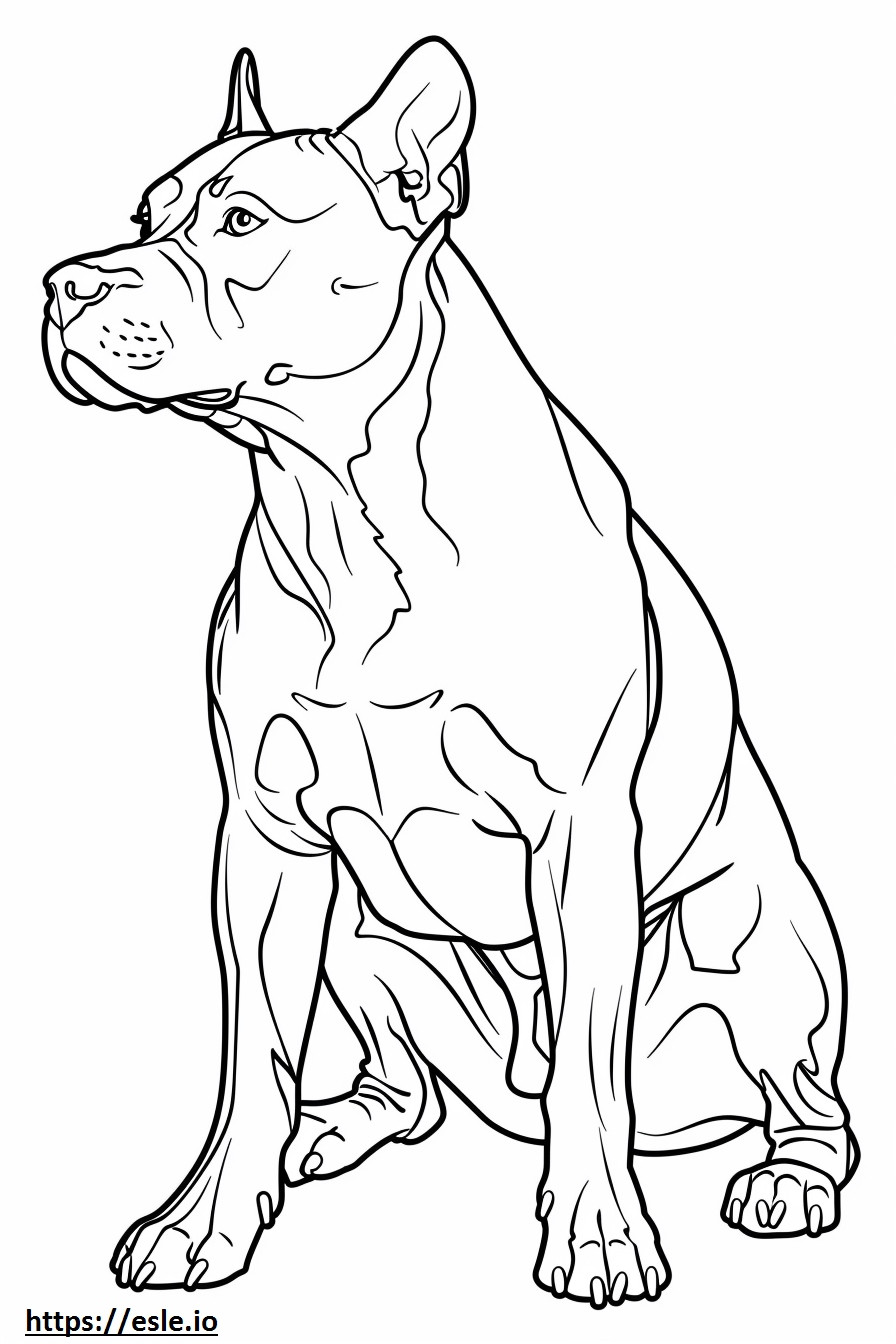 American Pit Bull Terrier jugando para colorear e imprimir