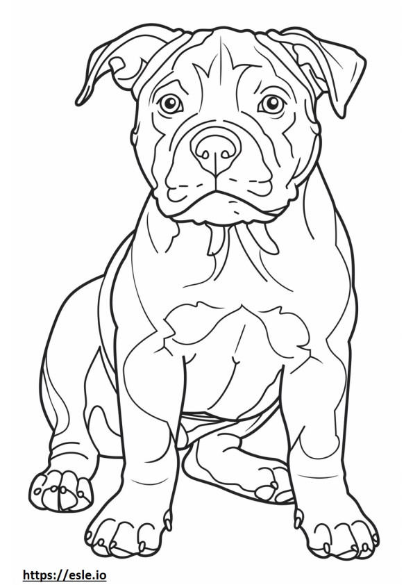 Pitbull terrier americano kawaii para colorear e imprimir