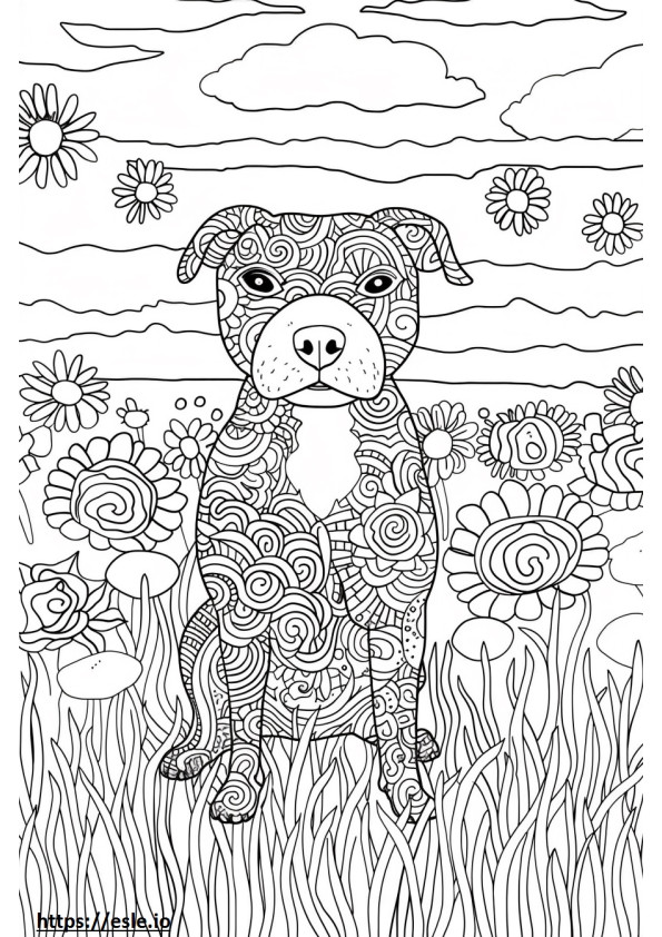 Coloriage Pit Bull Terrier américain Kawaii à imprimer