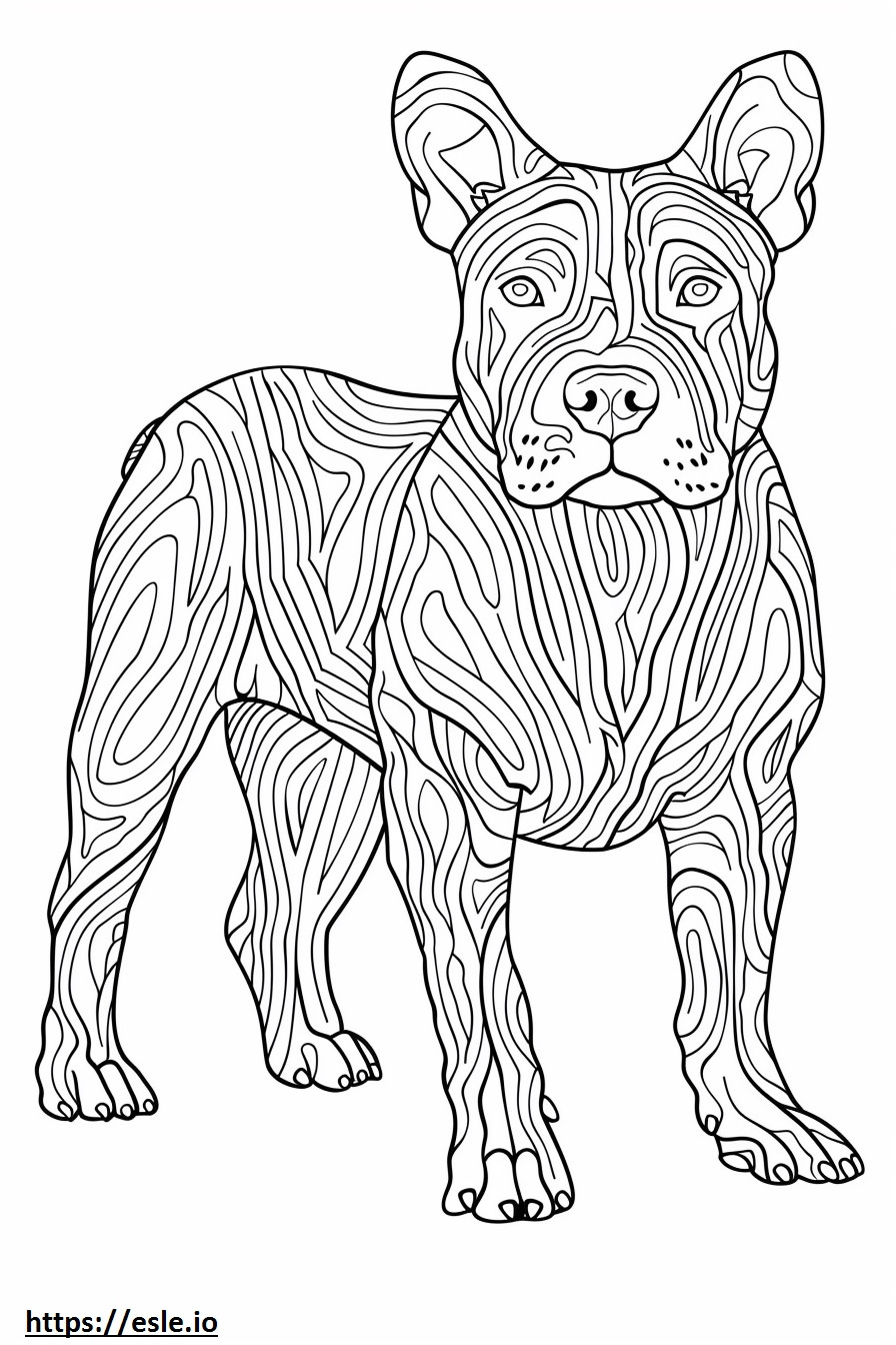 Pitbull terrier americano kawaii para colorear e imprimir