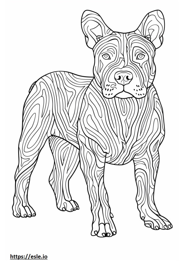 Amerykański Pit Bull Terrier Kawaii kolorowanka