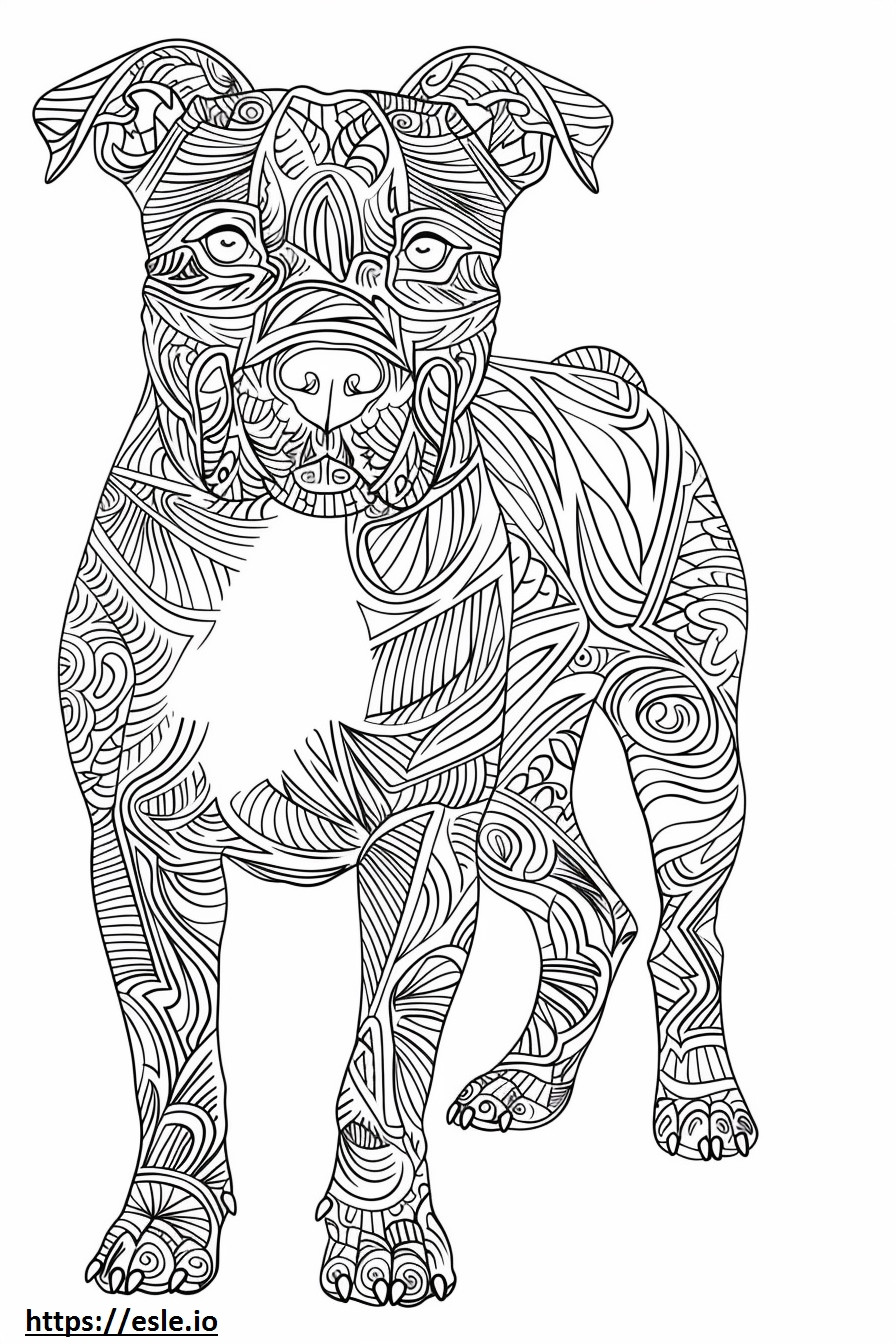 Apto para pitbull terrier americano para colorear e imprimir