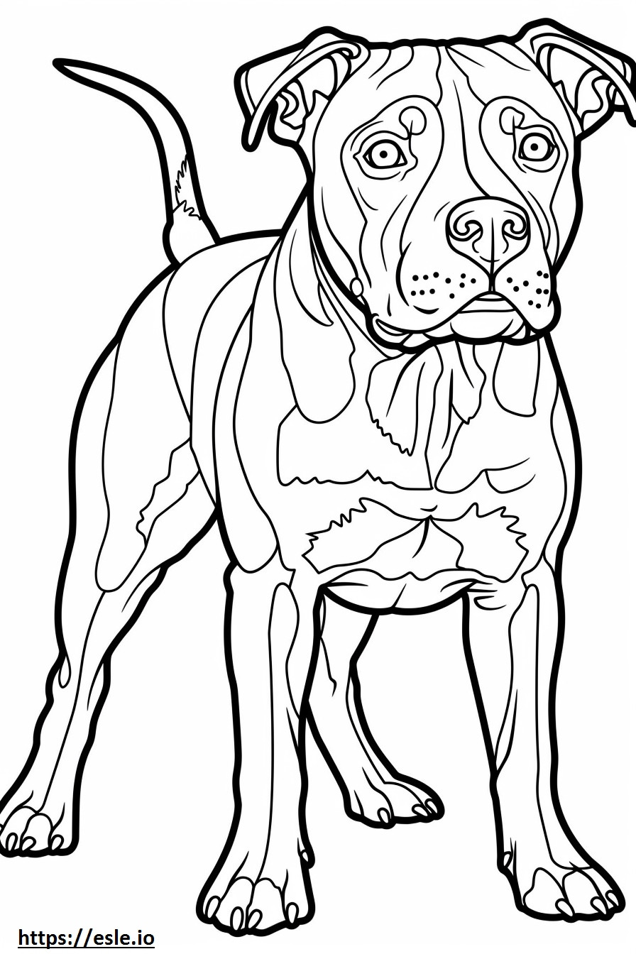 Coloriage Américain Pit Bull Terrier Amical à imprimer