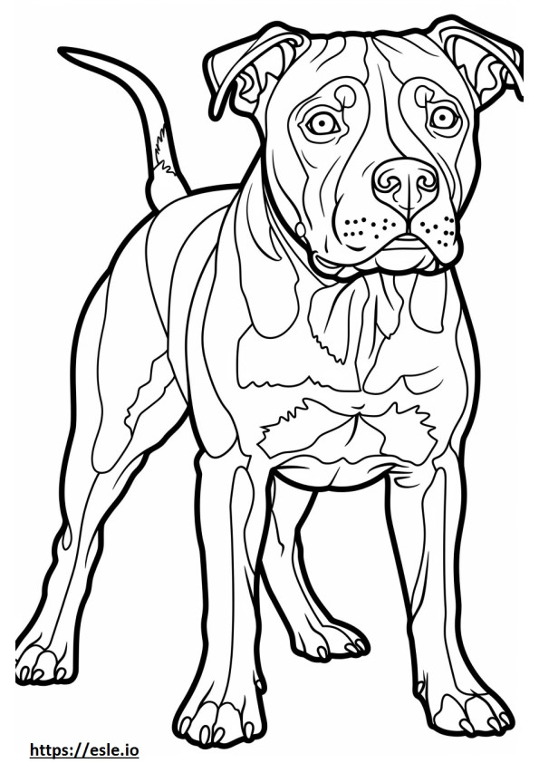 Coloriage Américain Pit Bull Terrier Amical à imprimer