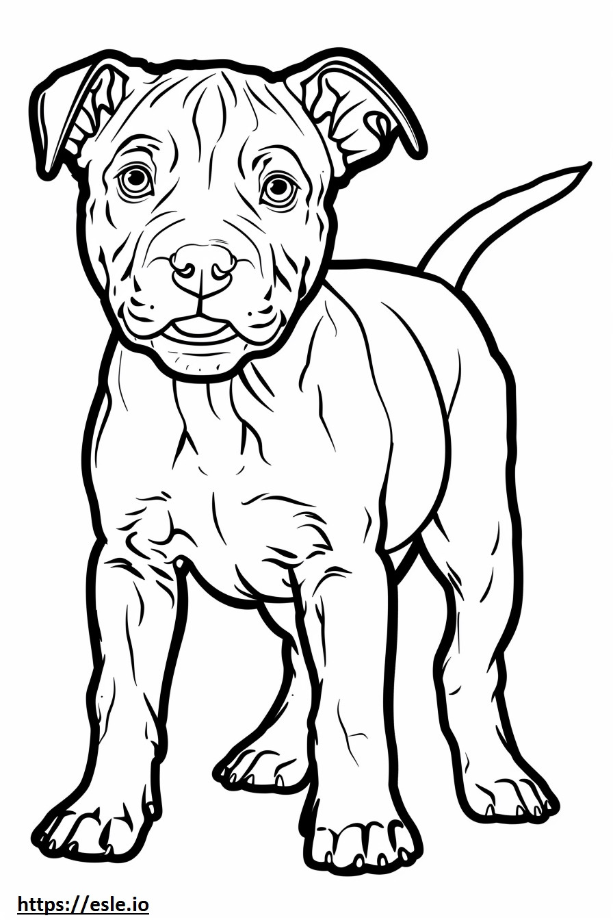 American Pit Bull Terrier Friendly coloring page