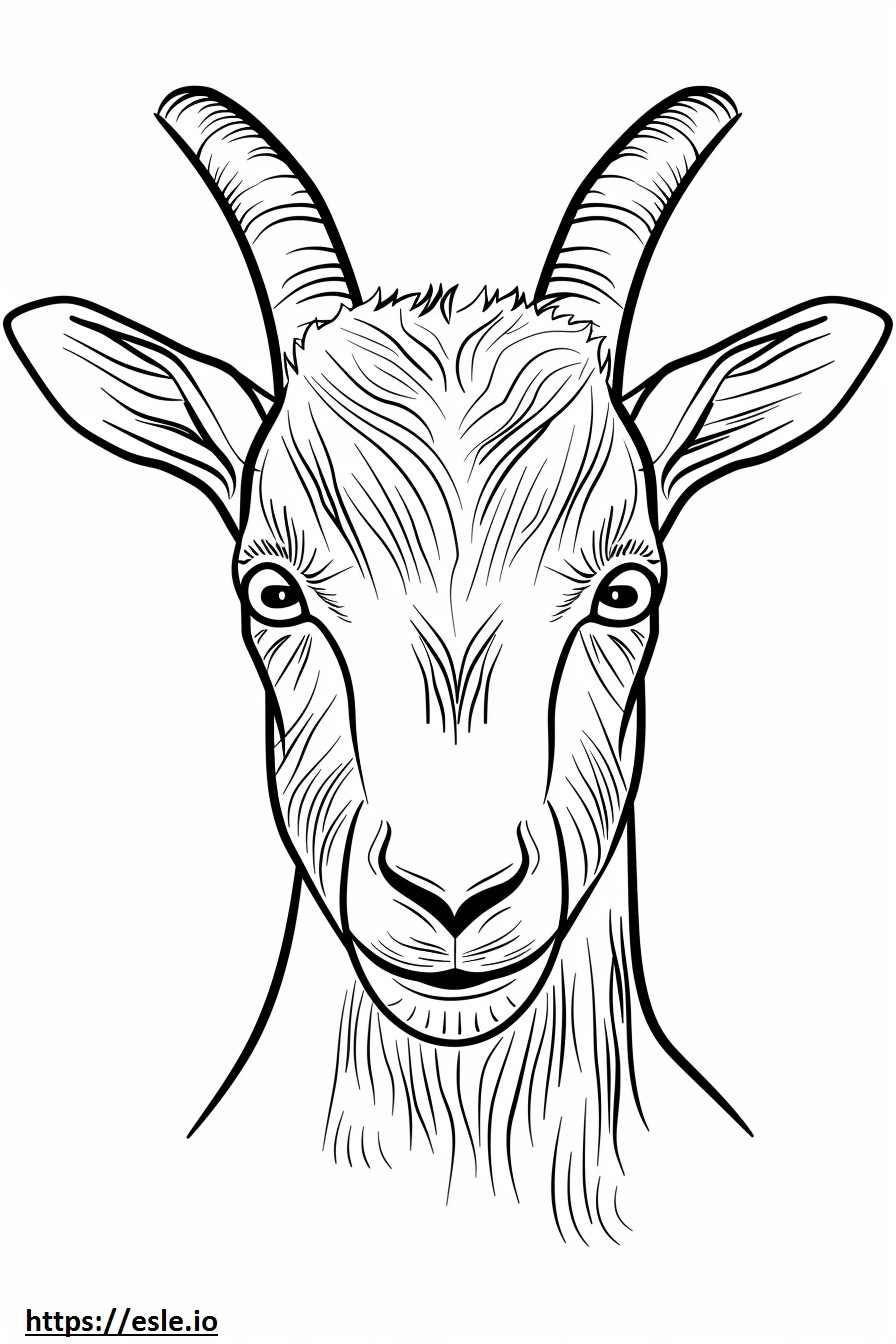 Coloriage Visage de chèvre pygmée américaine à imprimer