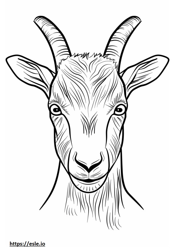 Coloriage Visage de chèvre pygmée américaine à imprimer