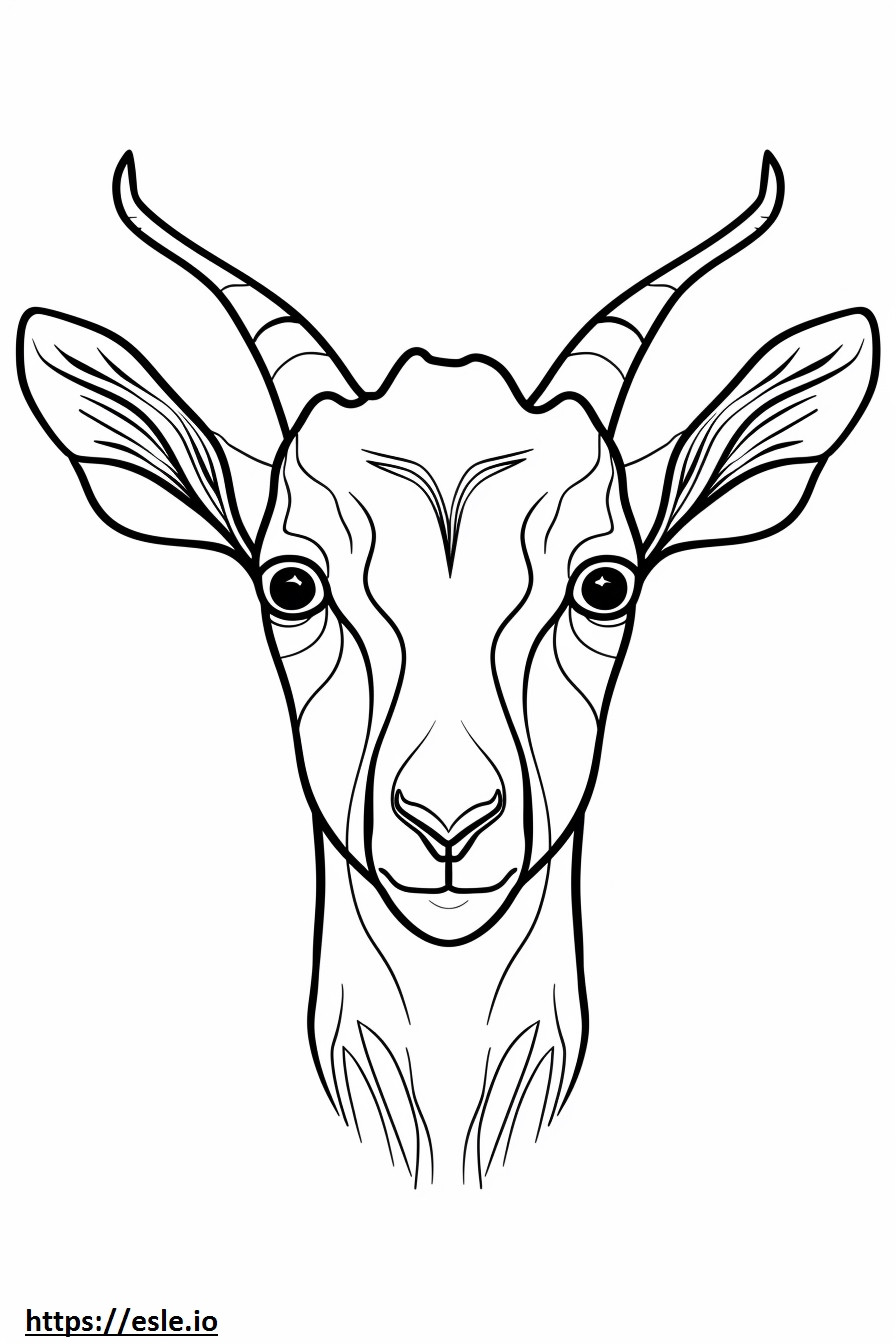 American Pygmy Goat face coloring page
