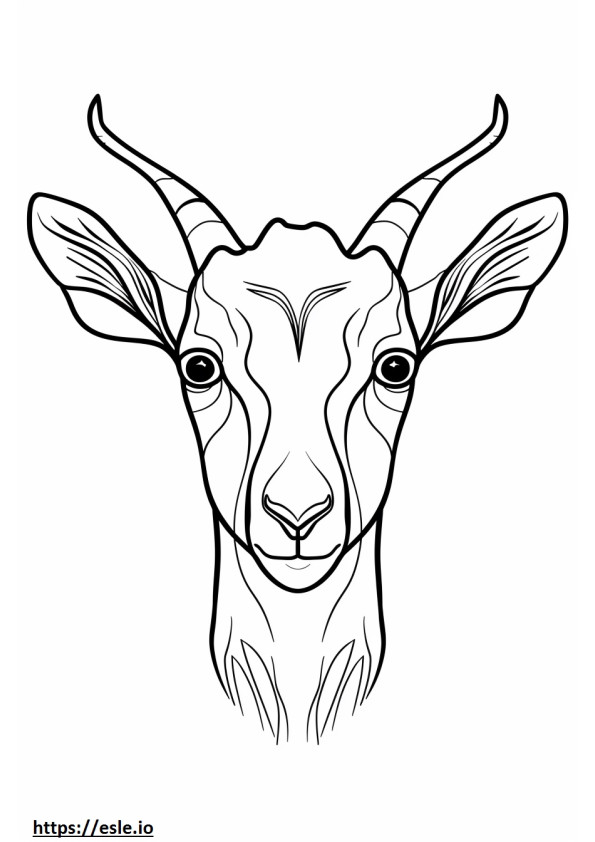 Amerikkalainen Pygmy Goat -naama värityskuva