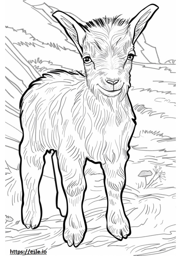 American Pygmy Goat baby coloring page