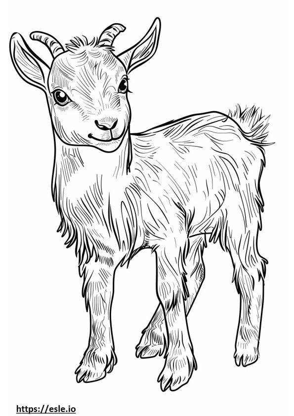 Coloriage Bébé chèvre pygmée américaine à imprimer
