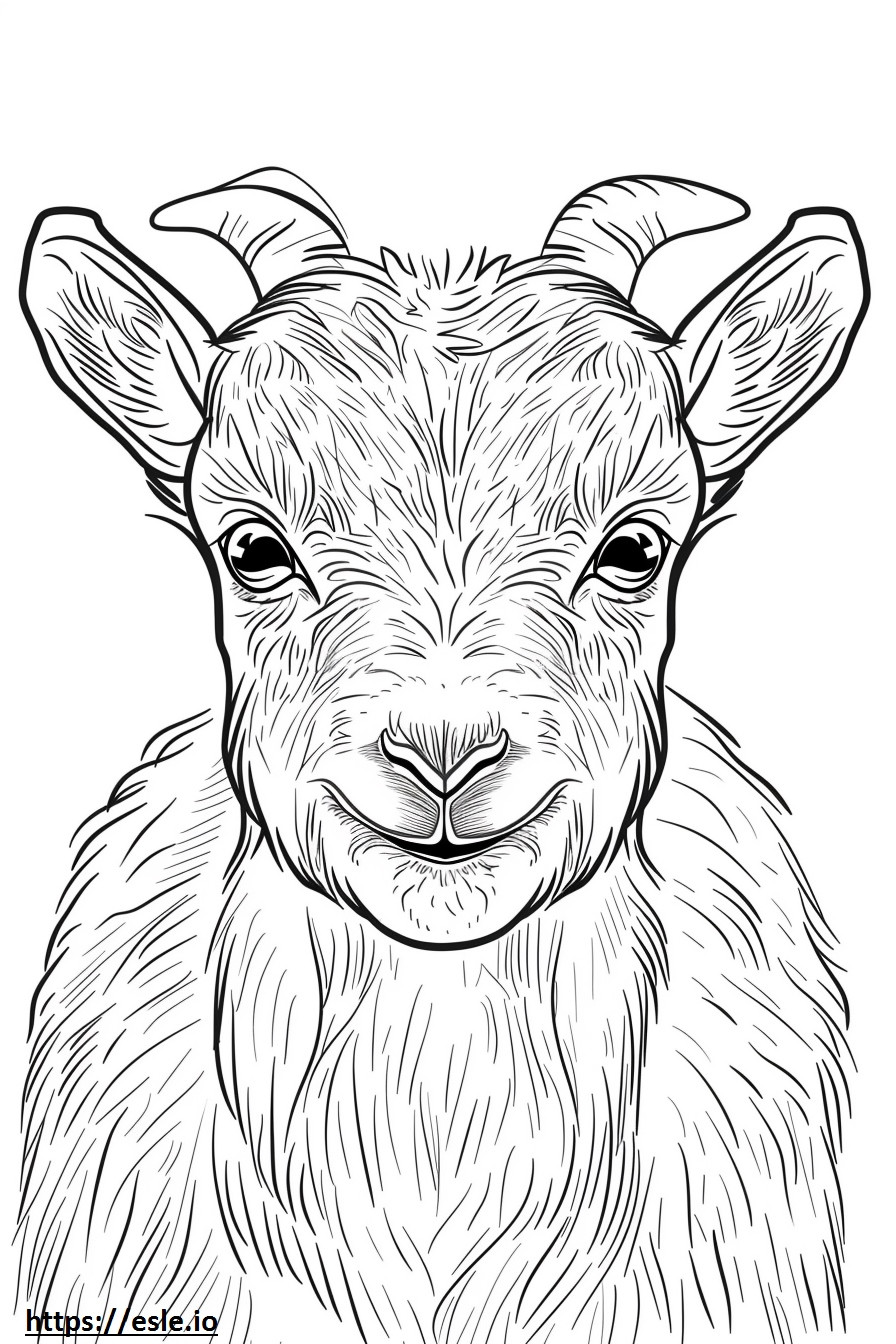 Emoji de sorriso de cabra pigmeu americana para colorir