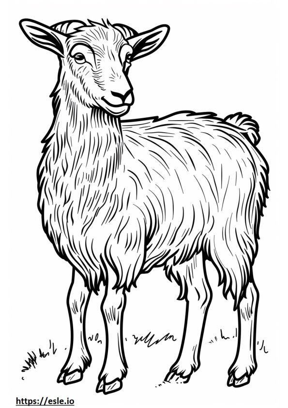 Coloriage Caricature de chèvre pygmée américaine à imprimer