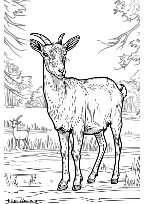 Cartone animato americano di capra pigmea da colorare