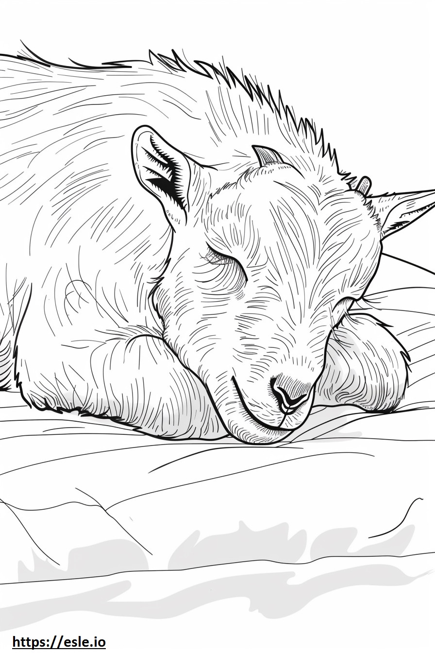 眠るアメリカンピグミーヤギ ぬりえ - 塗り絵