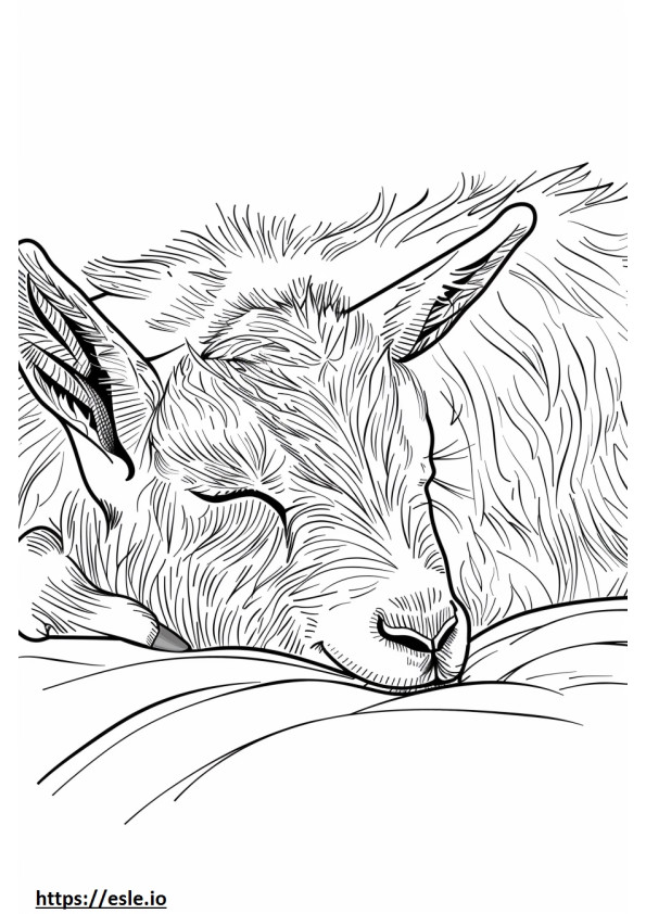 眠るアメリカンピグミーヤギ ぬりえ - 塗り絵