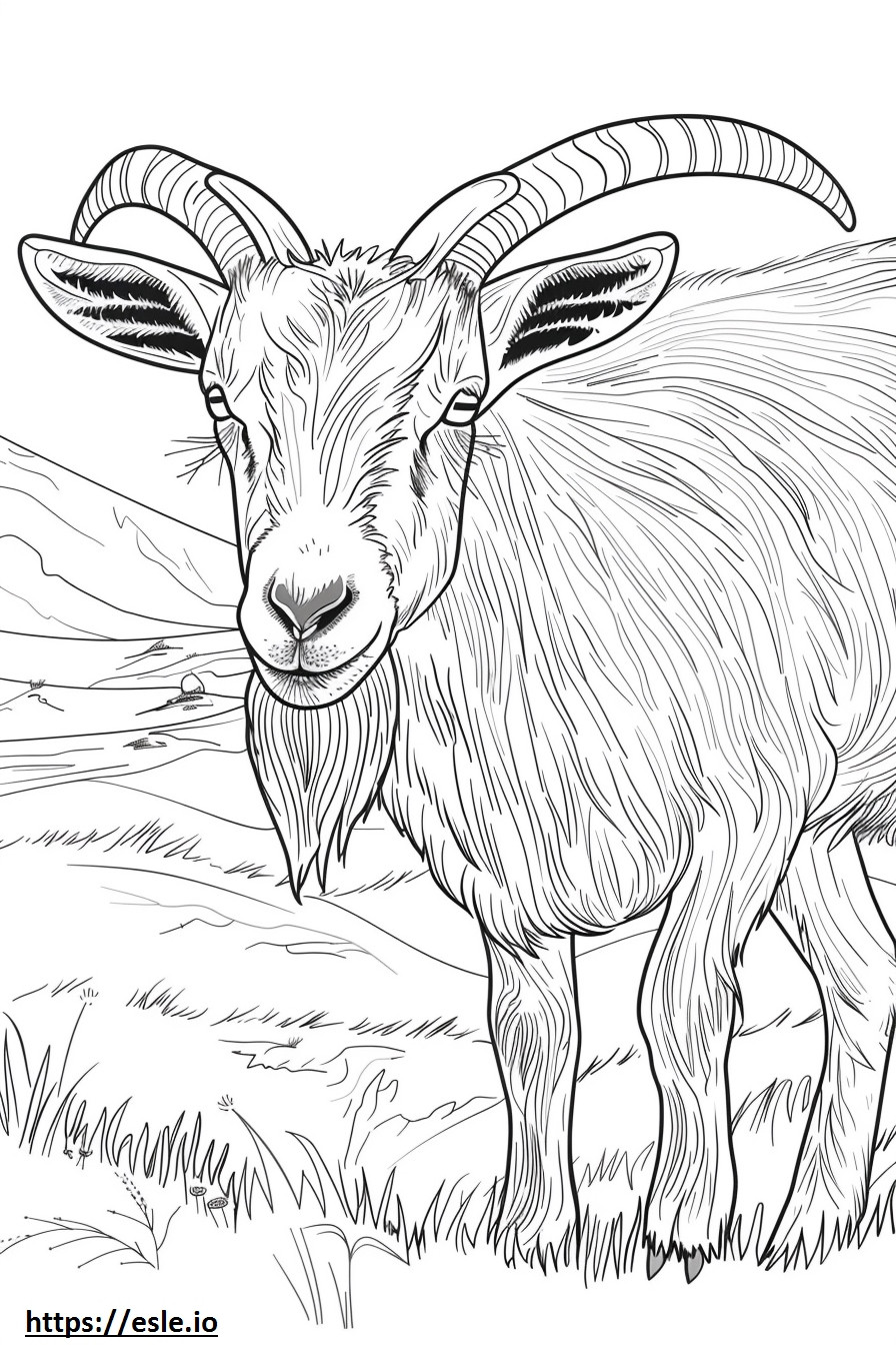American Pygmy Goat Playing coloring page