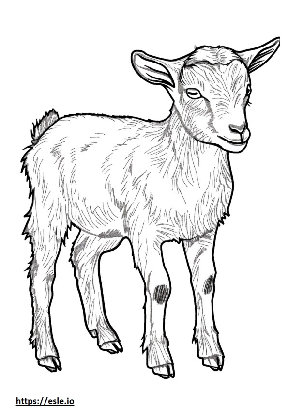 American Pygmy Goat Playing coloring page