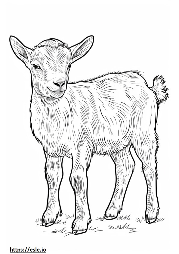 American Pygmy Goat Kawaii coloring page