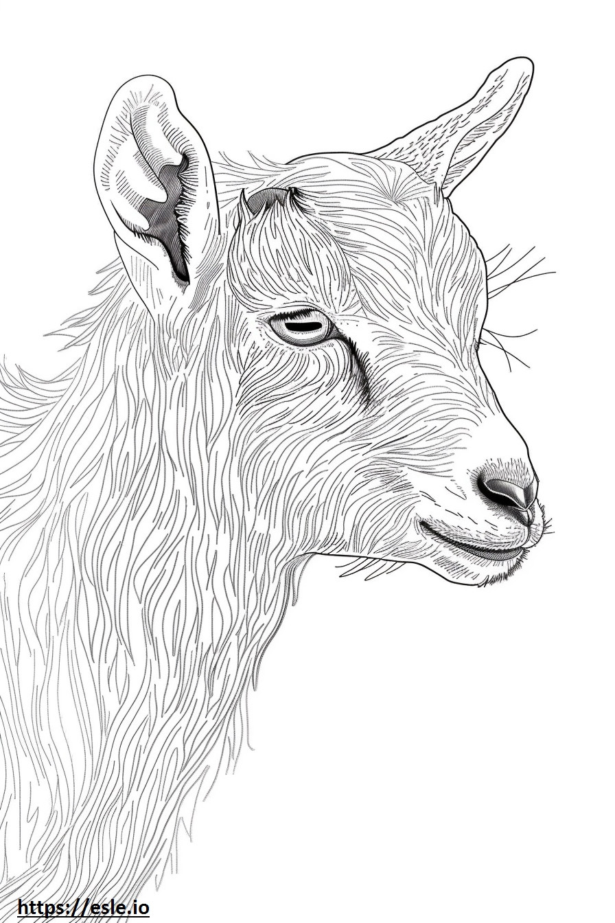 Amerikkalainen Pygmy Goat Kawaii värityskuva