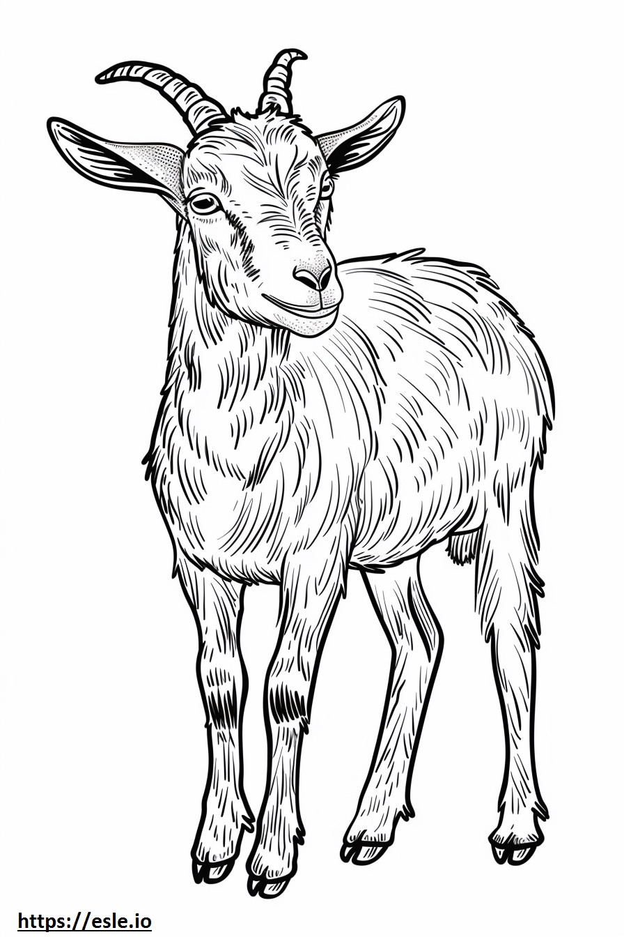 American Pygmy Goat Friendly coloring page