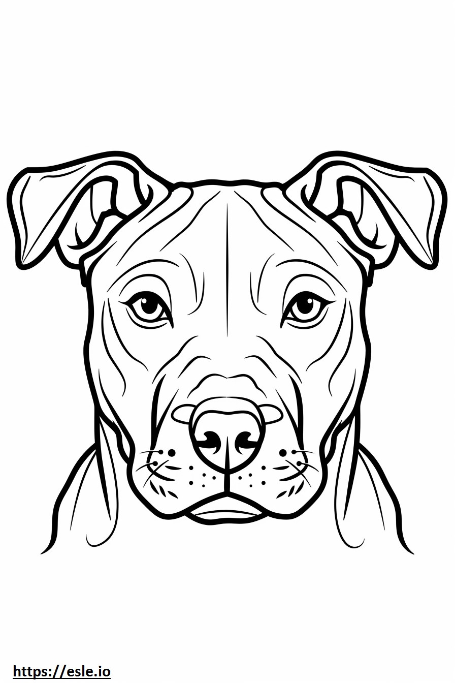 Coloriage Visage de l'American Staffordshire Terrier à imprimer