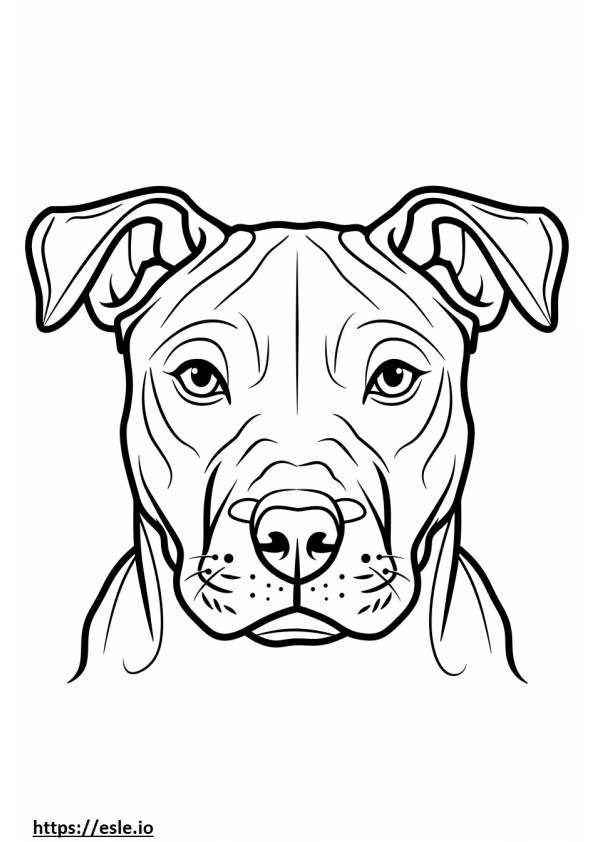 Gesicht des American Staffordshire Terrier ausmalbild