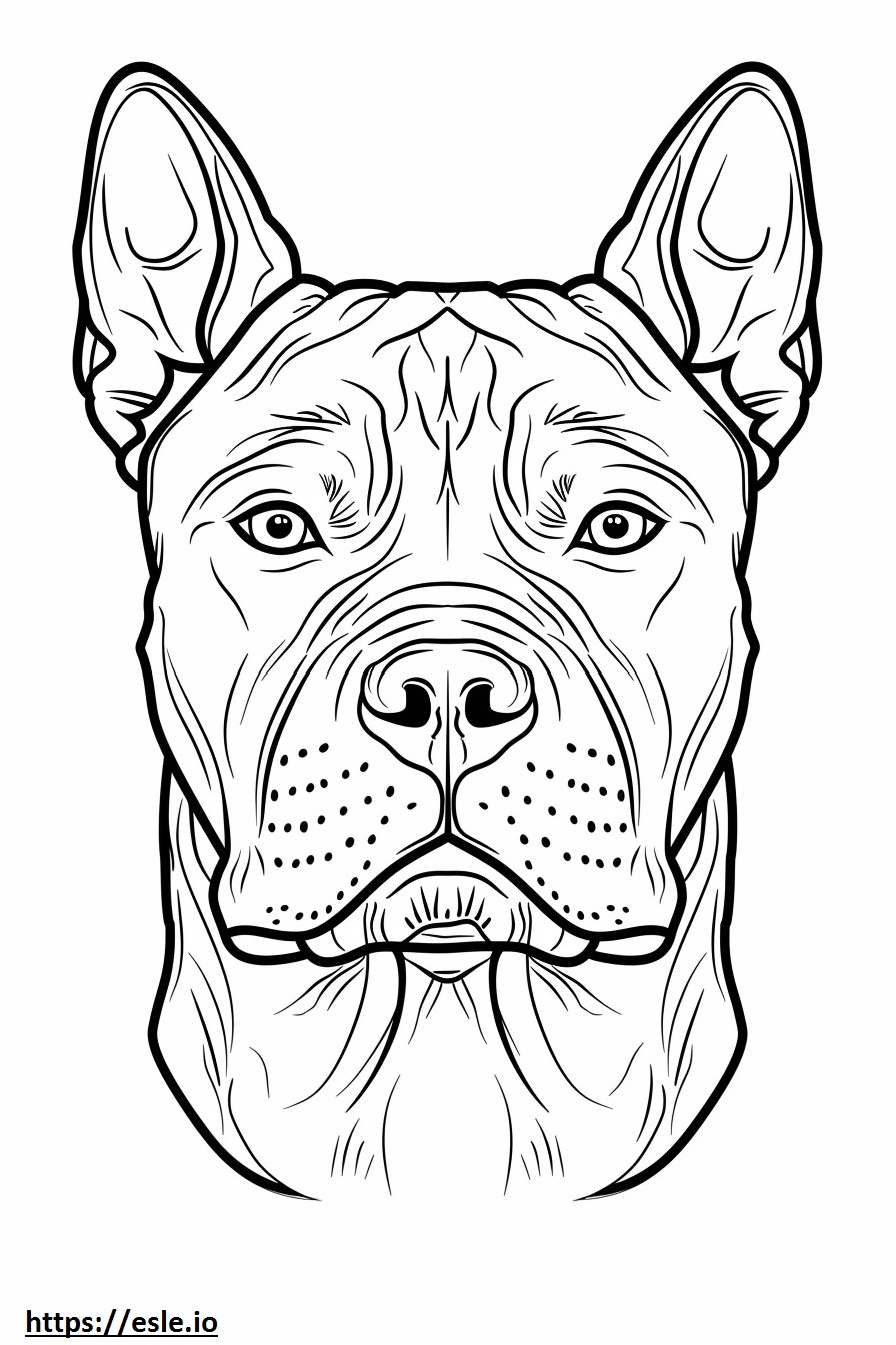 Faccia dell'American Staffordshire Terrier da colorare