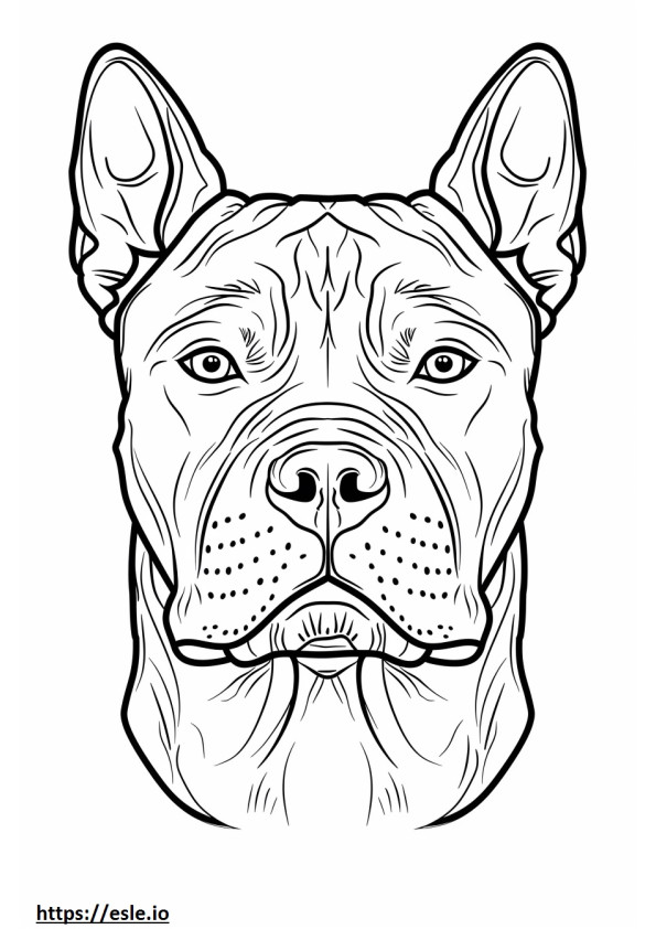 Cara de Staffordshire Terrier americano para colorear e imprimir