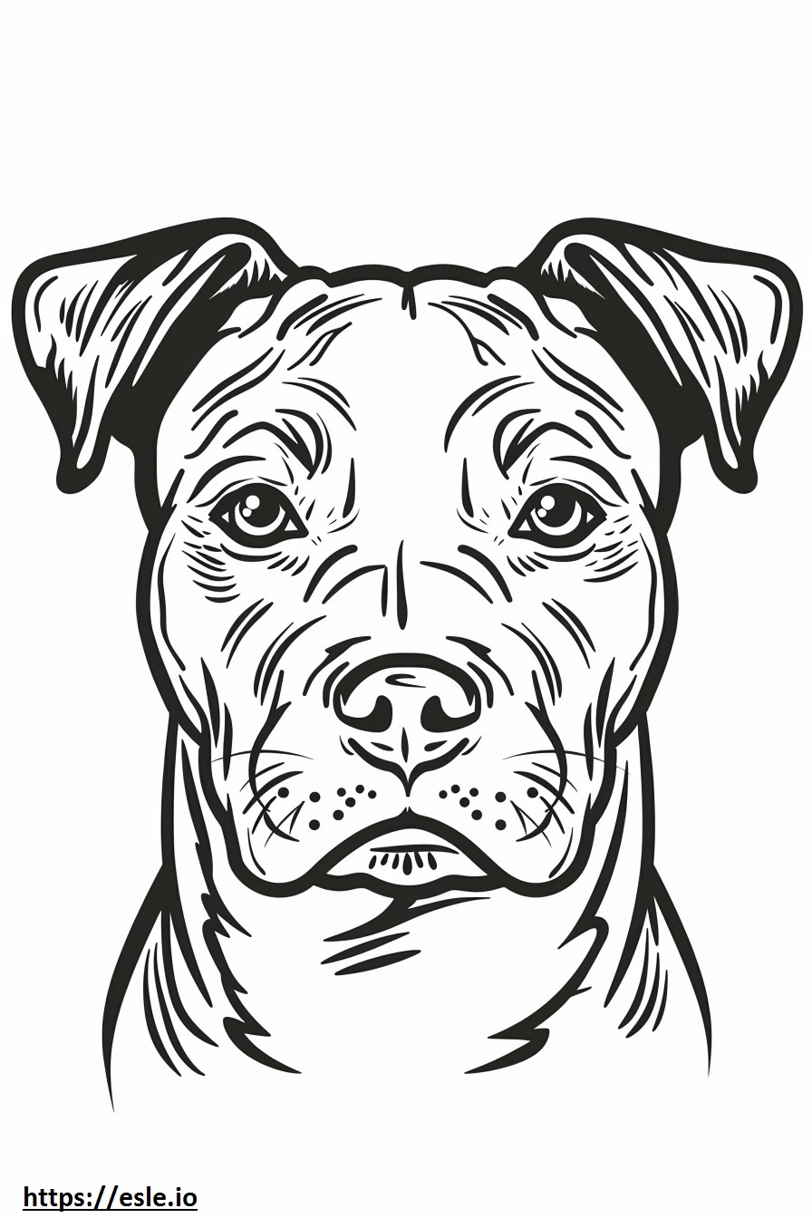 Coloriage Visage de l'American Staffordshire Terrier à imprimer