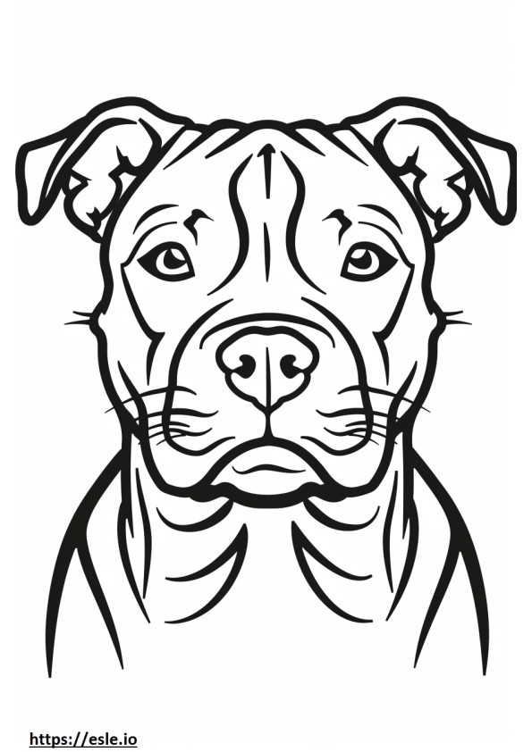 Gesicht des American Staffordshire Terrier ausmalbild