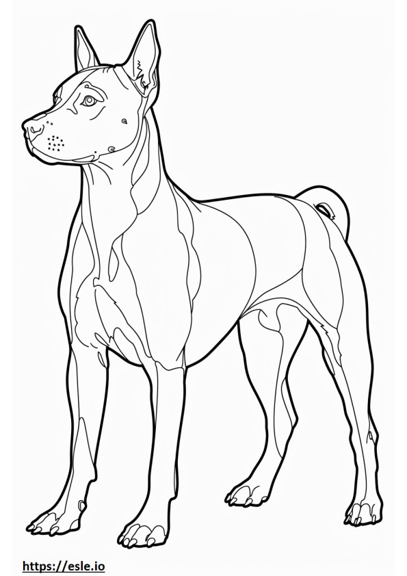American Staffordshire Terrier full body coloring page