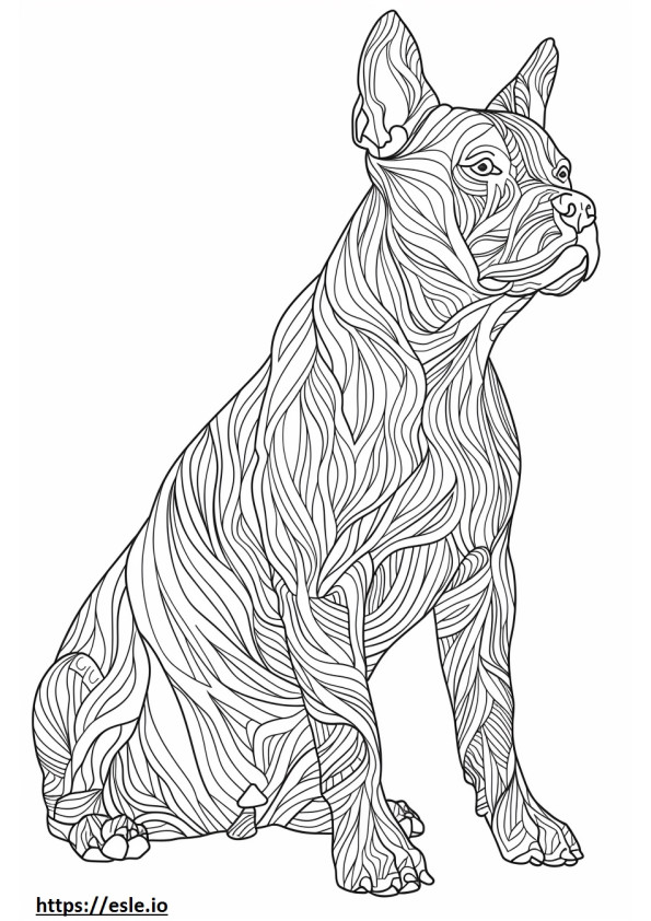 American Staffordshire Terrier a corpo intero da colorare